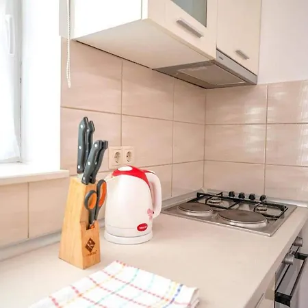 公寓 In Near Male Vrulje 沃迪切